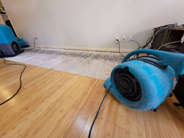 Professional Flood Damage Cleanup technician working in Paulden, AZ